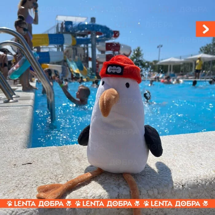 Лента добра Доброта, Отдых, Забывчивость, Все хорошо, Милота, Анапа, Отель, Длиннопост