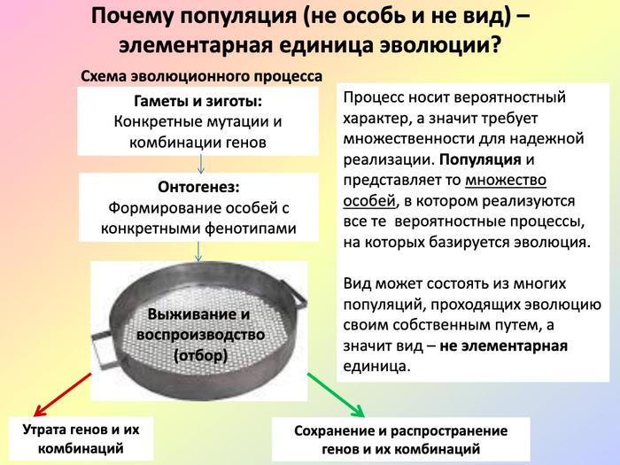     , , , , , , ,  ,  , 