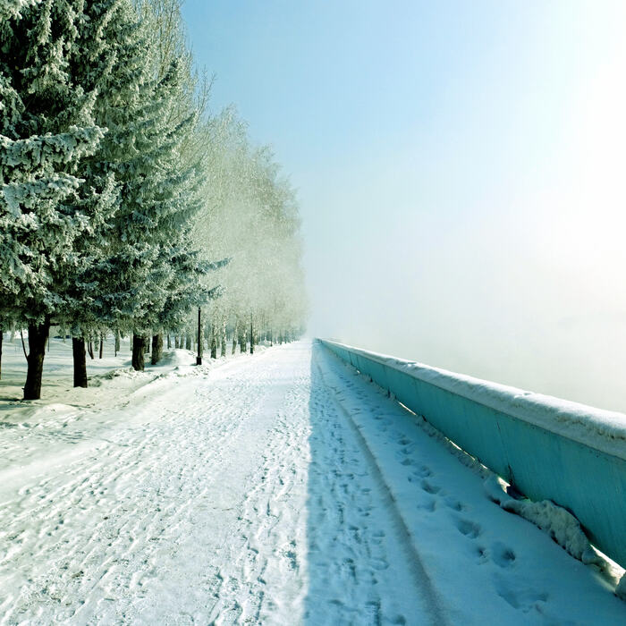 Лес, туман, тень, снег Пейзаж, Зима, Фотография
