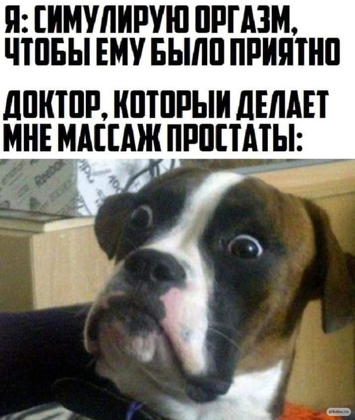Мемчик | Пикабу