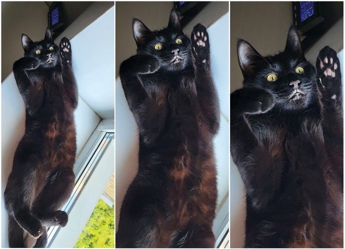 Коварный злодей заманивает в ловушку