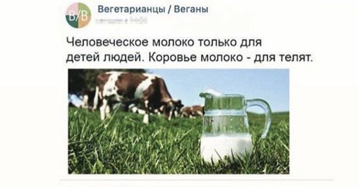 Коровье Молоко В Орле Купить