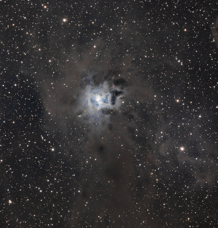   (NGC 7023)     ,  , , , 
