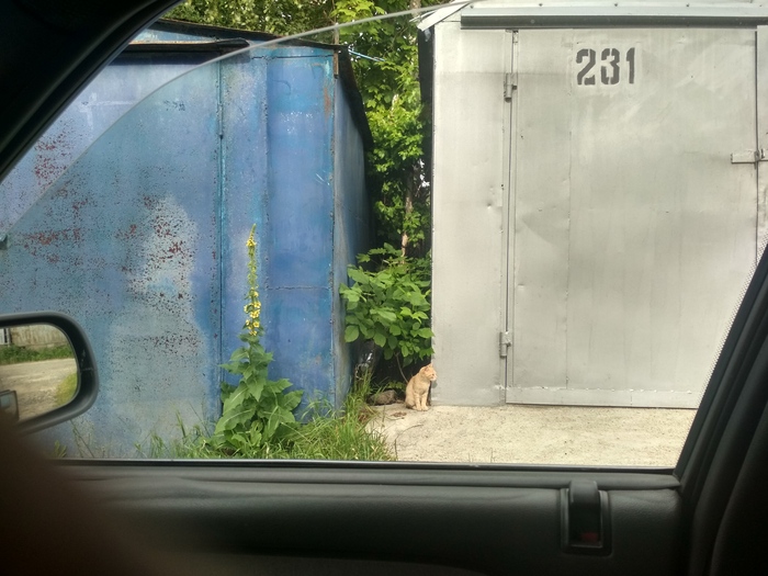 ����� � ���� ��������!))