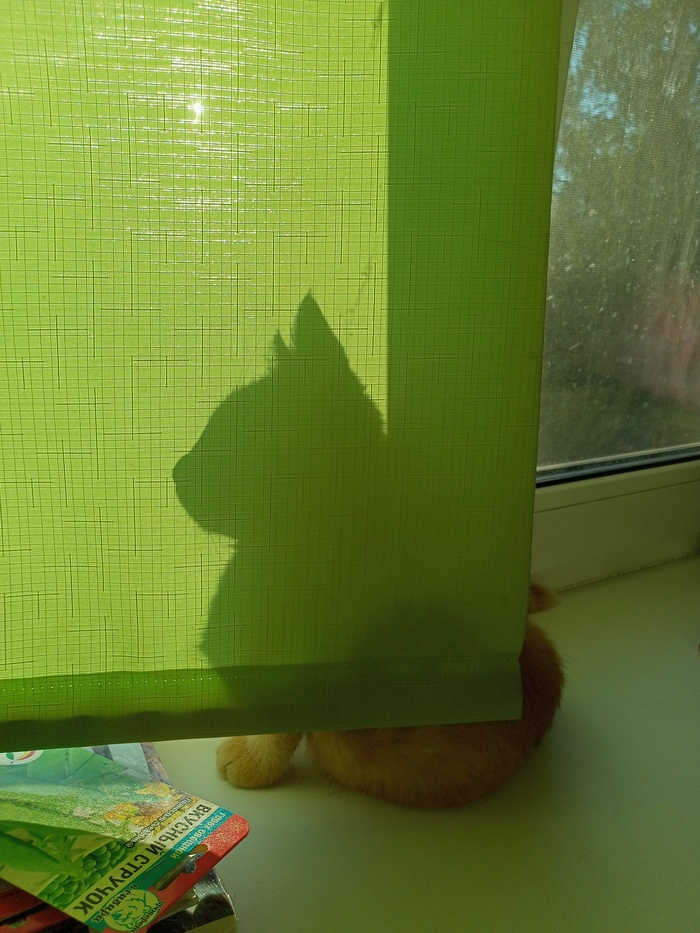 Этому микрорайону нужен новый герой!!!!!