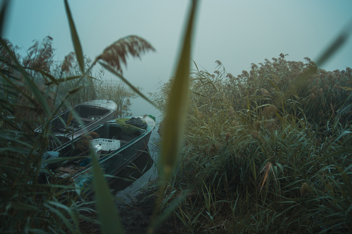 4 утра. Деревня, озеро, туман