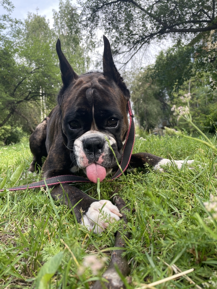 ������ ����