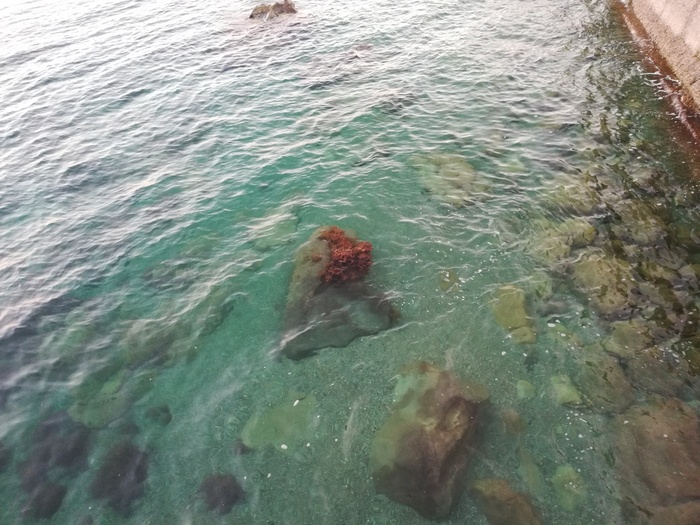 Отдых на наших курортах