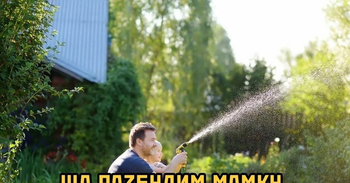 Дача | Пикабу