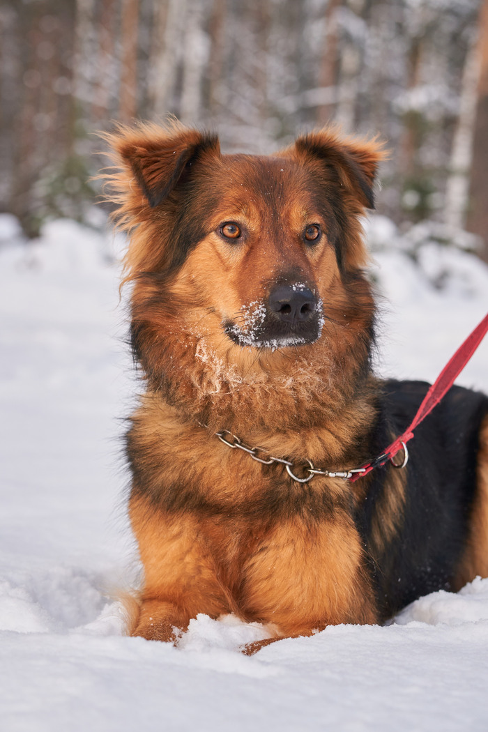 ����� �� ���� alarih "���� ������!"