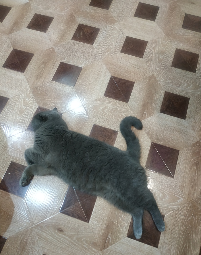 Бежал, бежал, прыгнул и уснул