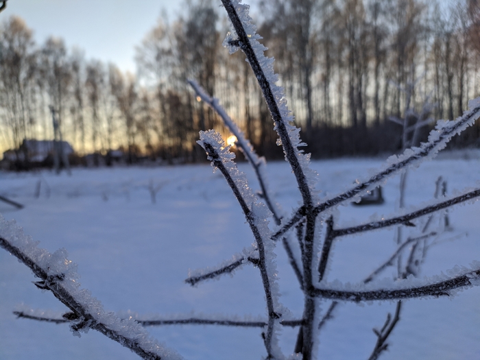 ���� � �������