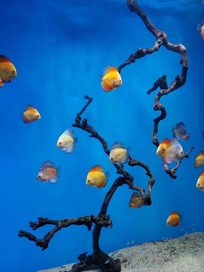 Позитивный выходной | Пикабу