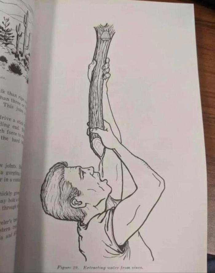 Пиппин пытается убедить энтов пойти на войну