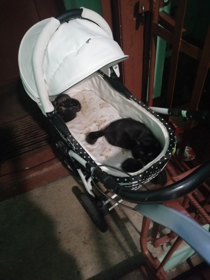 ����� ����� ����� �� ������