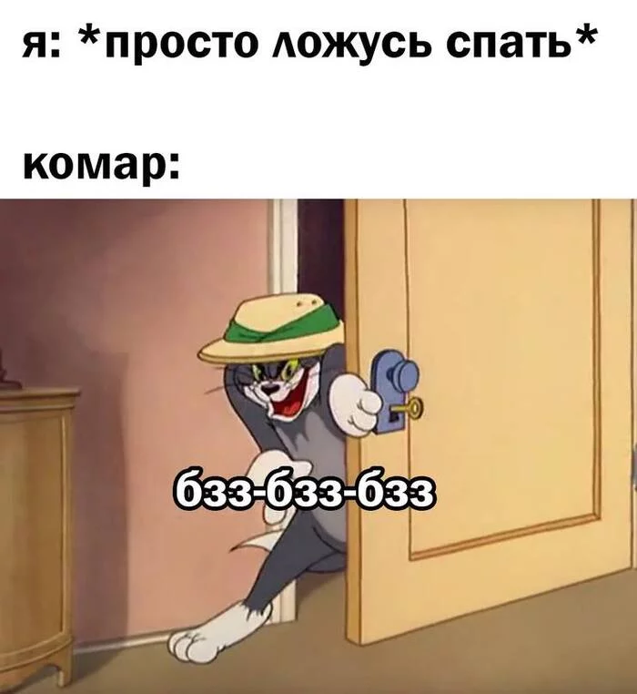 Сбэу комар мем