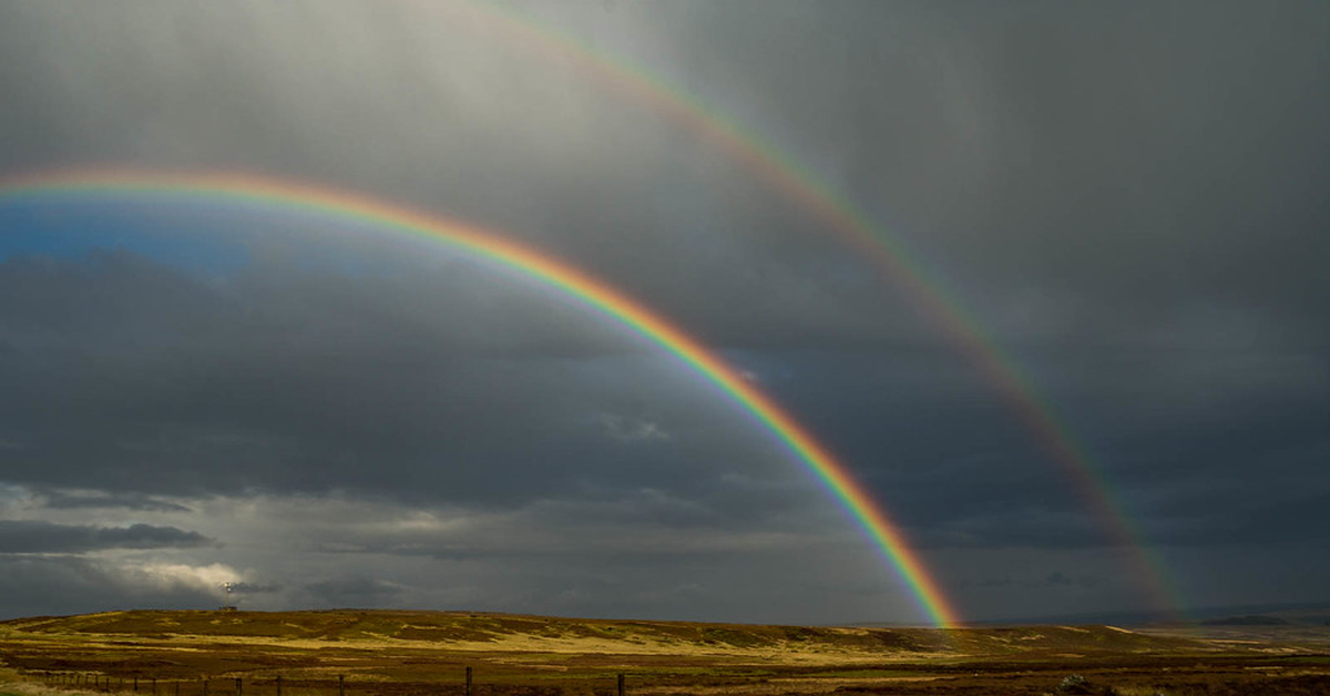 Rainbow | Пикабу