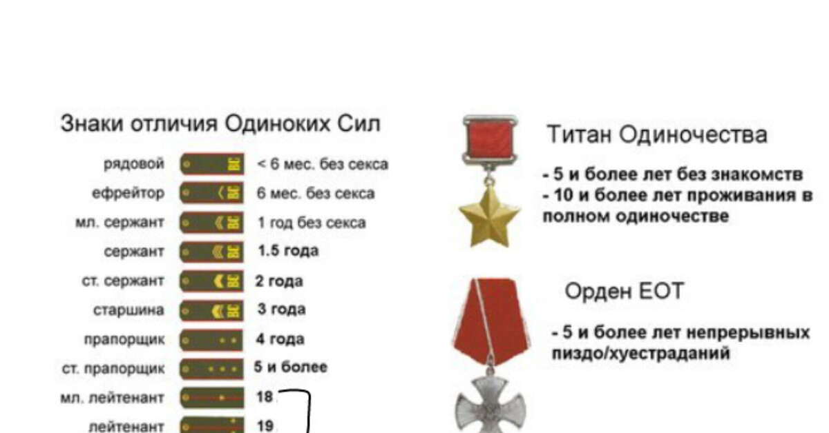 Поздравьте меня, я сержант | Пикабу
