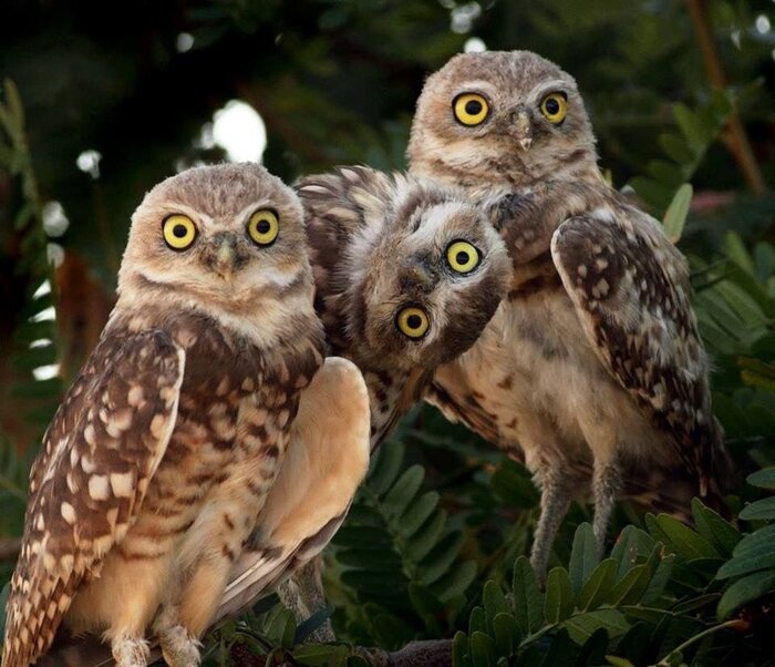 Ты кто такой?