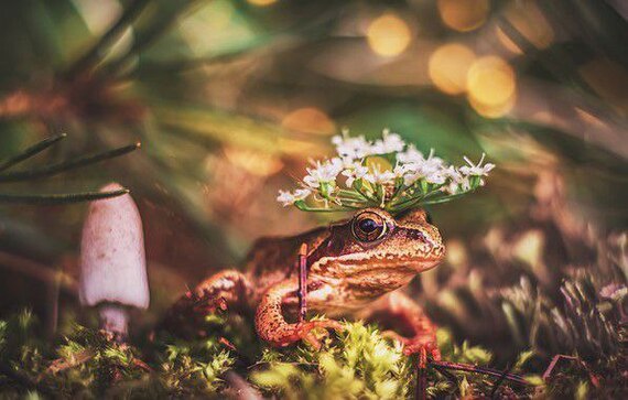 �����������, ��� �����