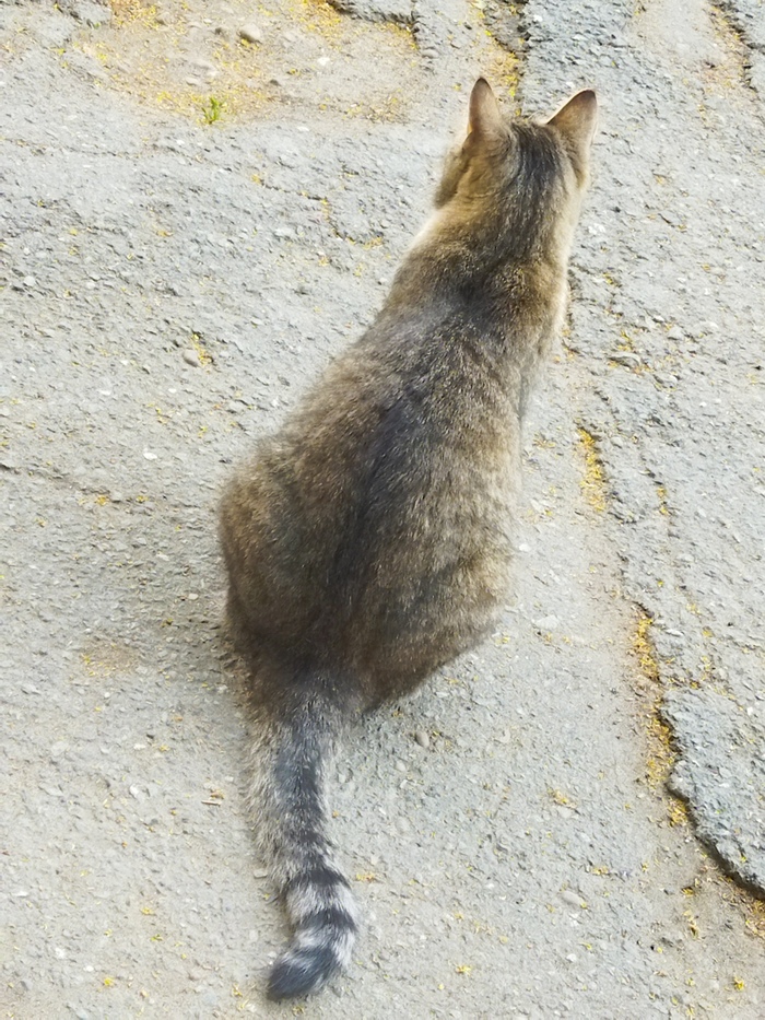      , ,  , ,  , 