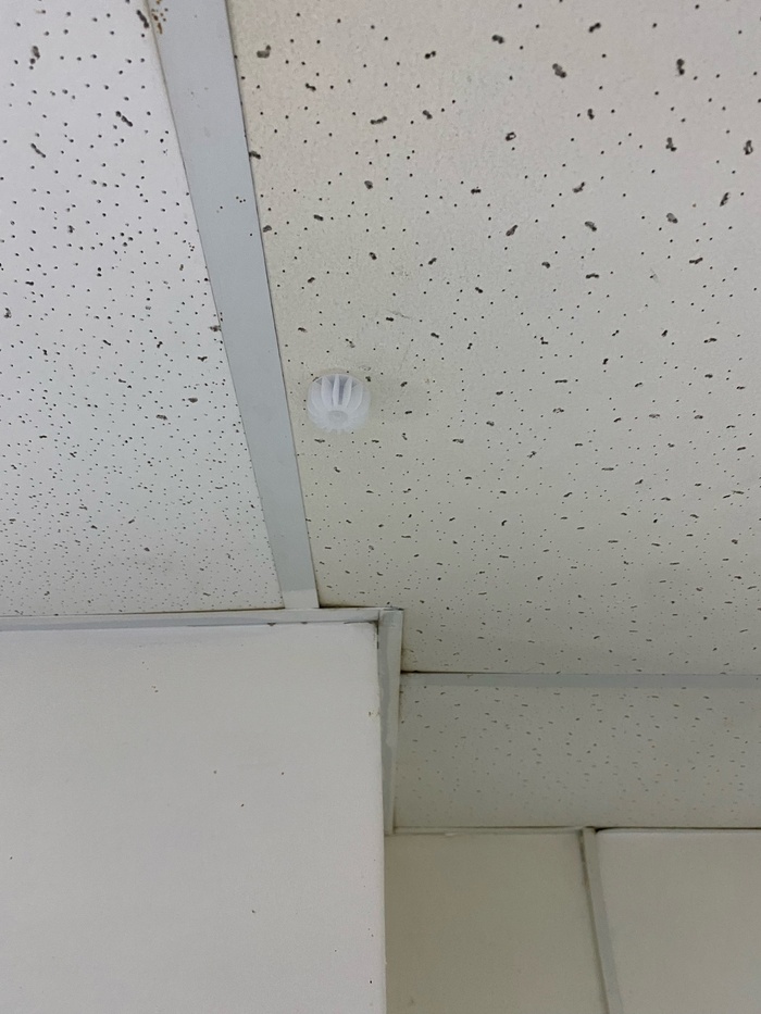 Брызги шампанского | Пикабу