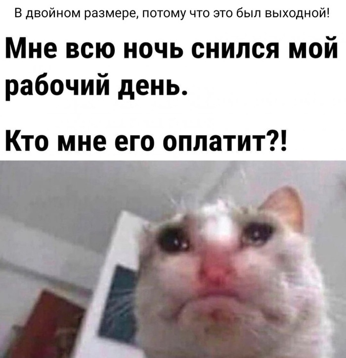 ������ ����� ������