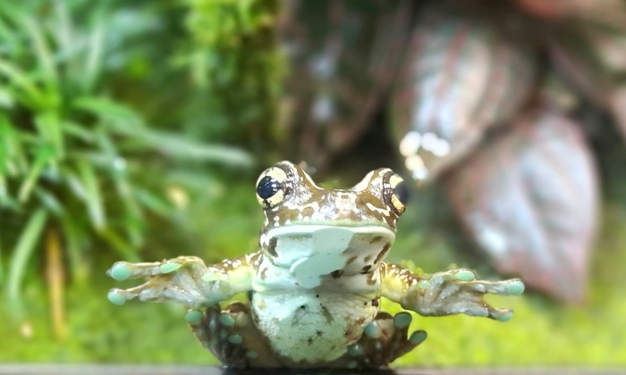 Со средой, чуваки!