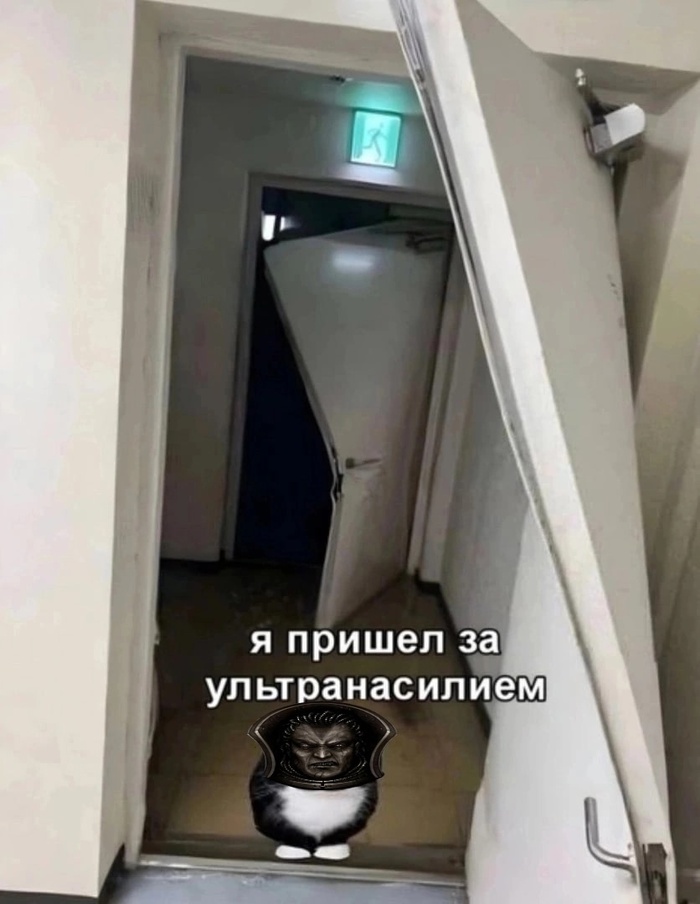 Ультравасилий делает ультранасилие