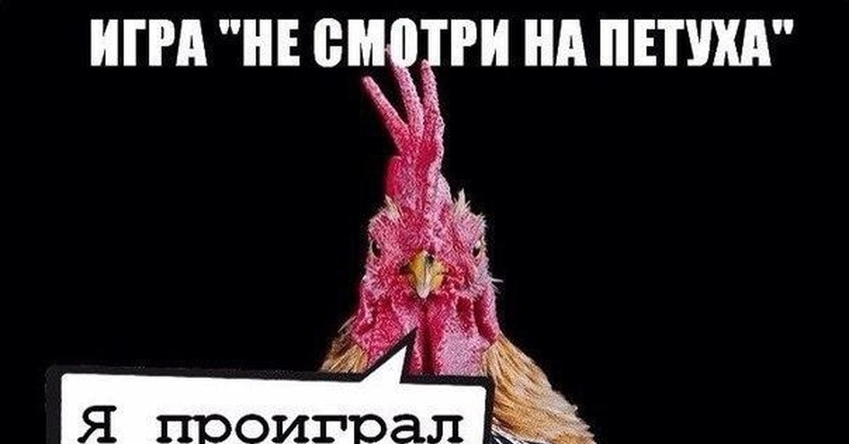 Петух сука. Я проиграл петух. Петух мемы. Смешной петух.