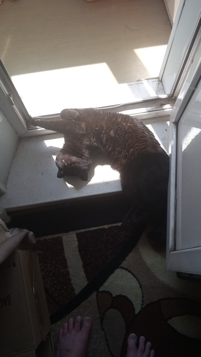   , ,  , ,  ,  