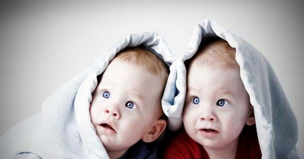 Двойня и Близнецы разница. Отличие двойняшек и близняшек. Чем отличаются Близнецы от двойняшек. В чем разница между близняшками и двойняшками.