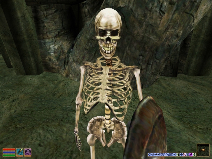  - (Greater Skeleton Champion) The Elder Scrolls, The Elder Scrolls III: Morrowind, RPG, Bethesda, ,  , , , , 