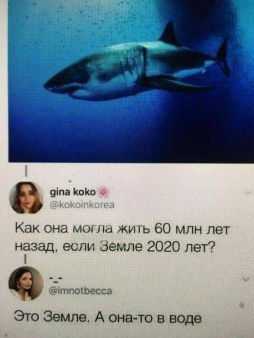 1688711789124334902.jpg