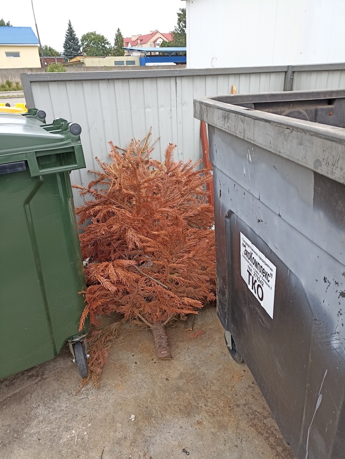 ������ ����!