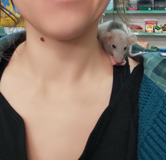 �������� � ������������