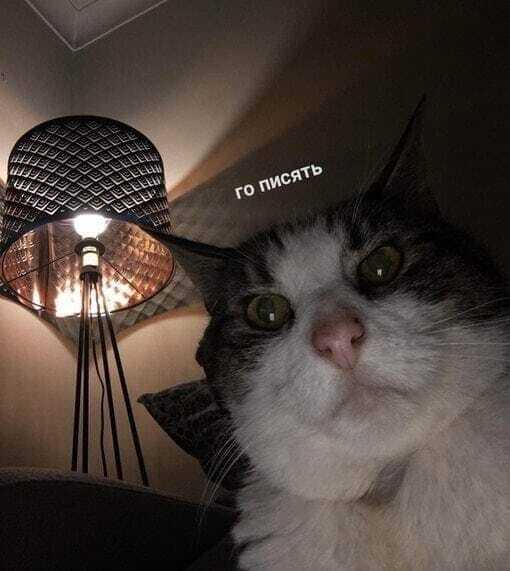 ����� �� ���� ��� ������ ������ ������