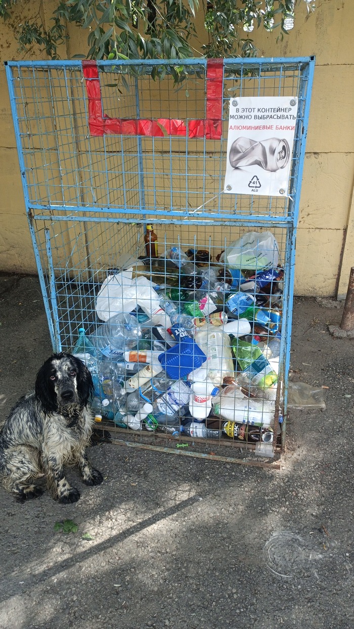 ���� ������� �������� ...