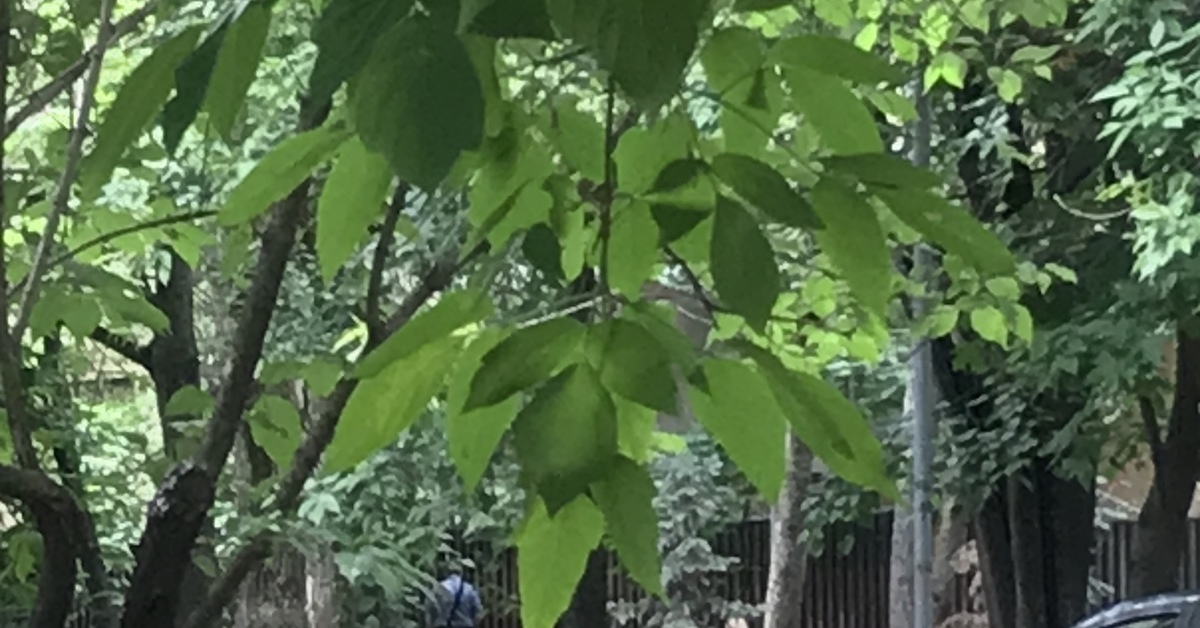 Неадекваты на Октябрьском поле в Москве | Пикабу