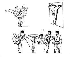 ������� �����������: ����.