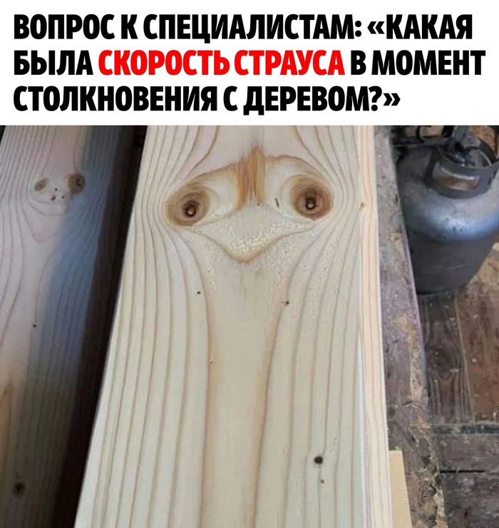  v.2.0 ,    , , 