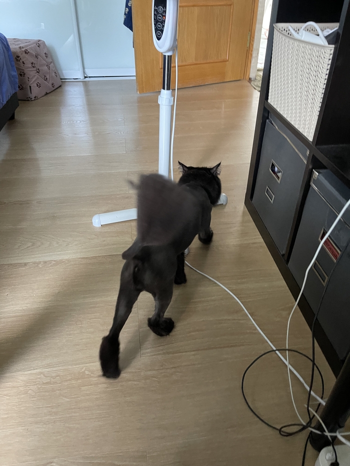 Тяги бархатные