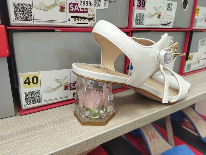 ���� �����