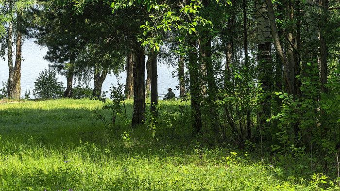 ������ �������