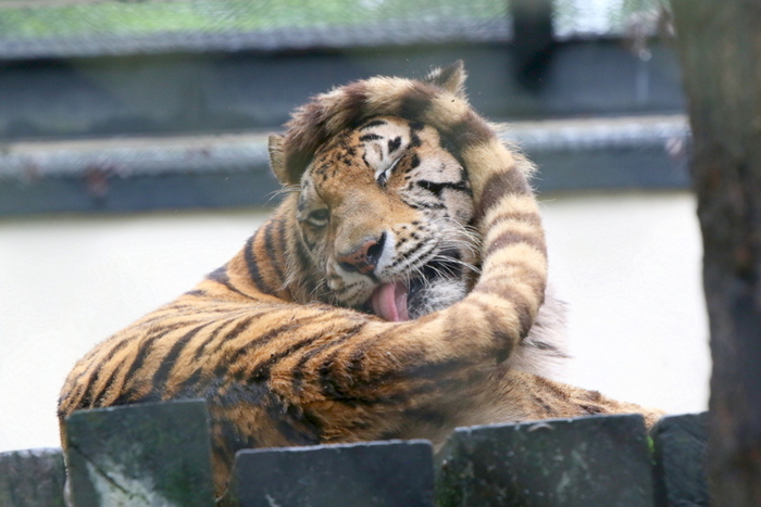 Обнимашки :3