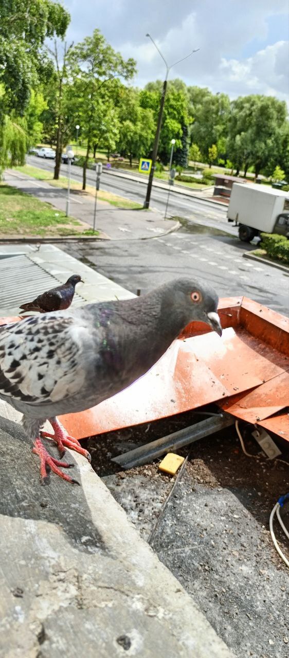 А чем то вроде хлебушка не угостите?