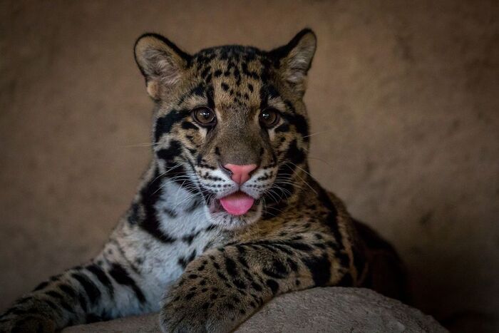 Фотография на документы