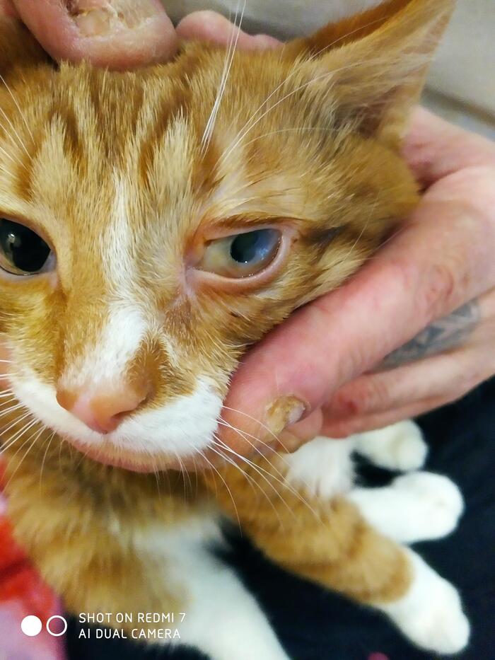 Помогите советом