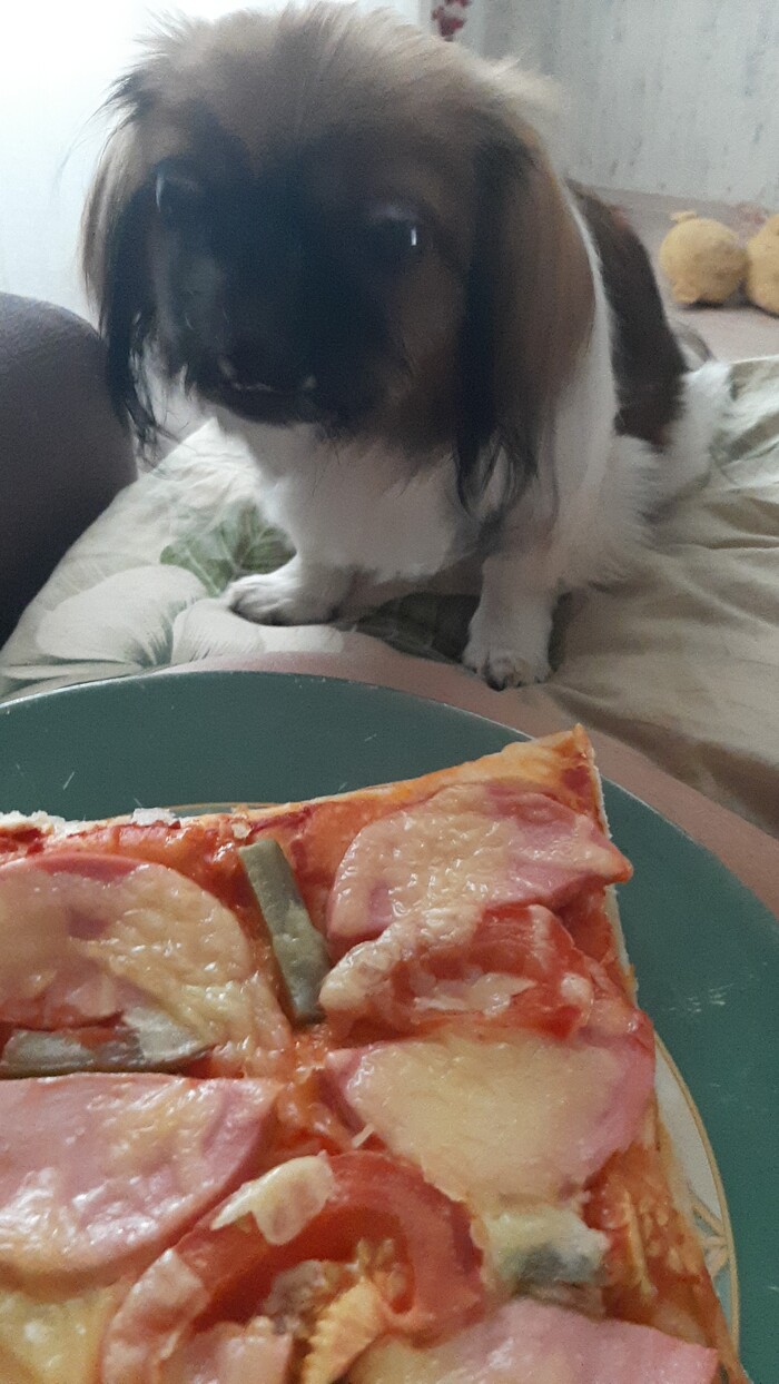 ��� �����