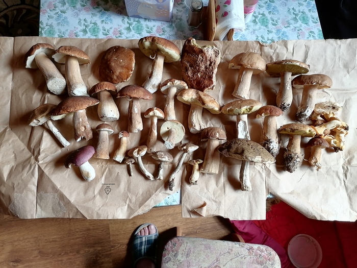 ������ ������ � ���� ����